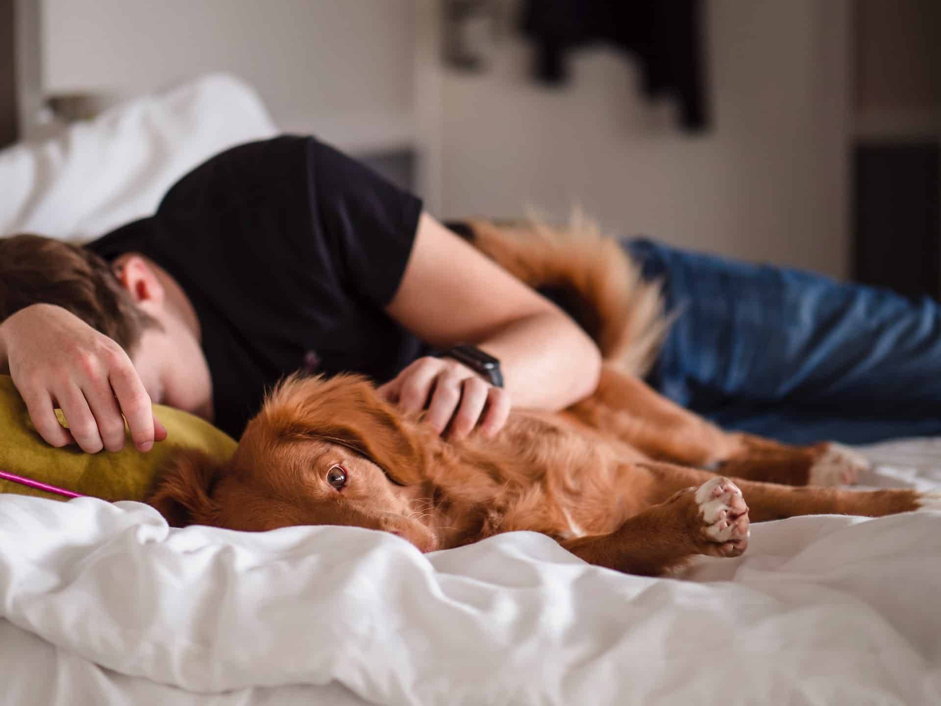 Man With Pet