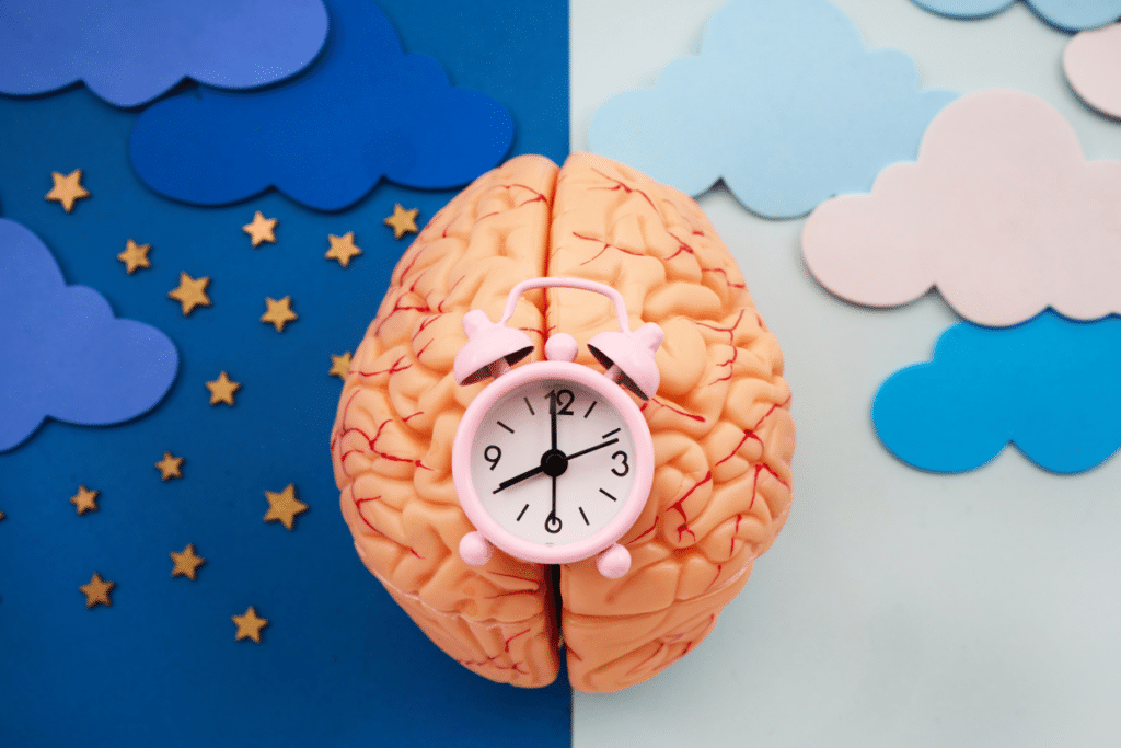 Brain with clock illustrating morning anxiety and evening anxiety patterns