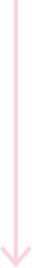 Vector 8